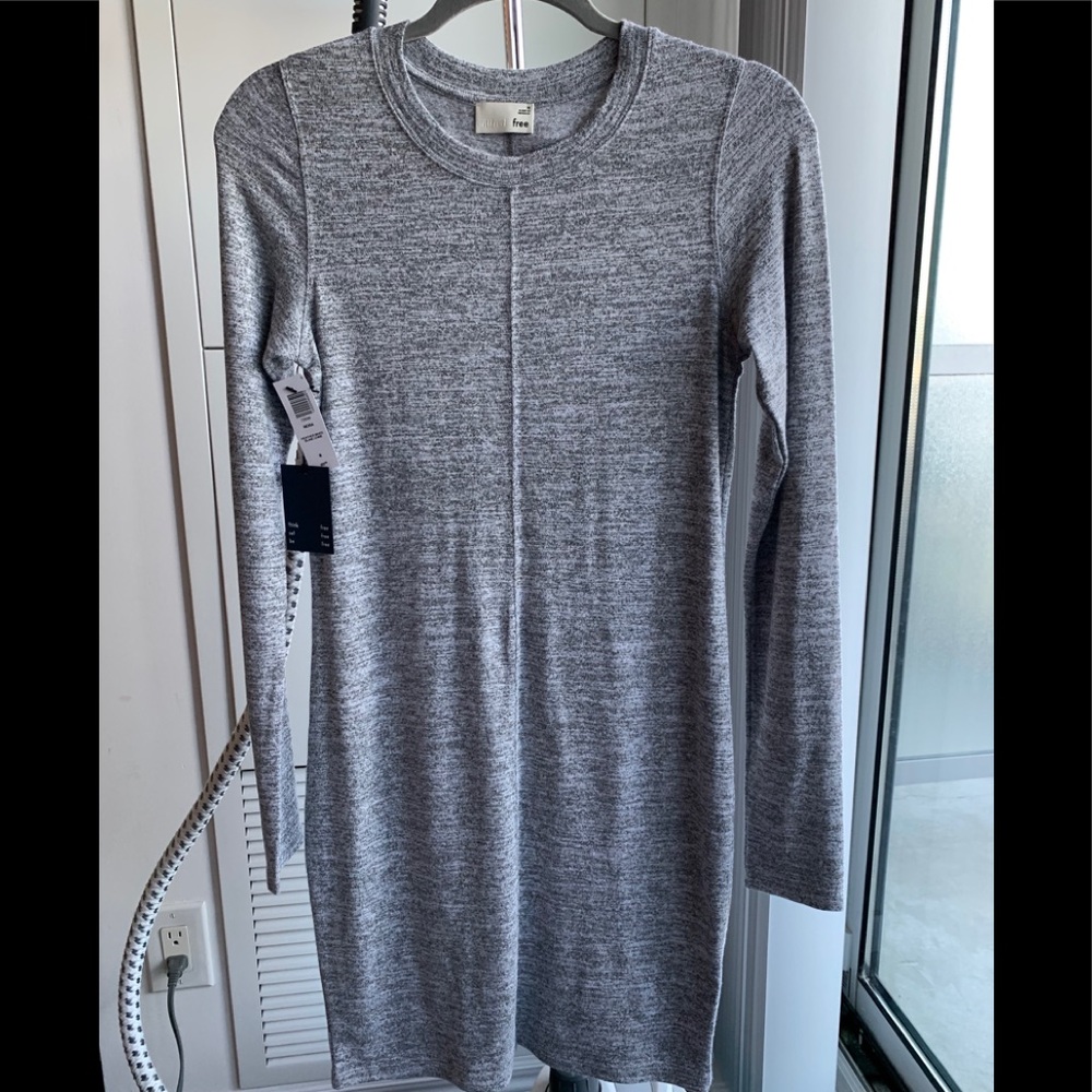 BNWT Wilfred Free Nora Dress